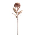 Melrose International Melrose International 72922DS 27 in. Plastic Allium Stem; Rose Gold - Set of 12 72922